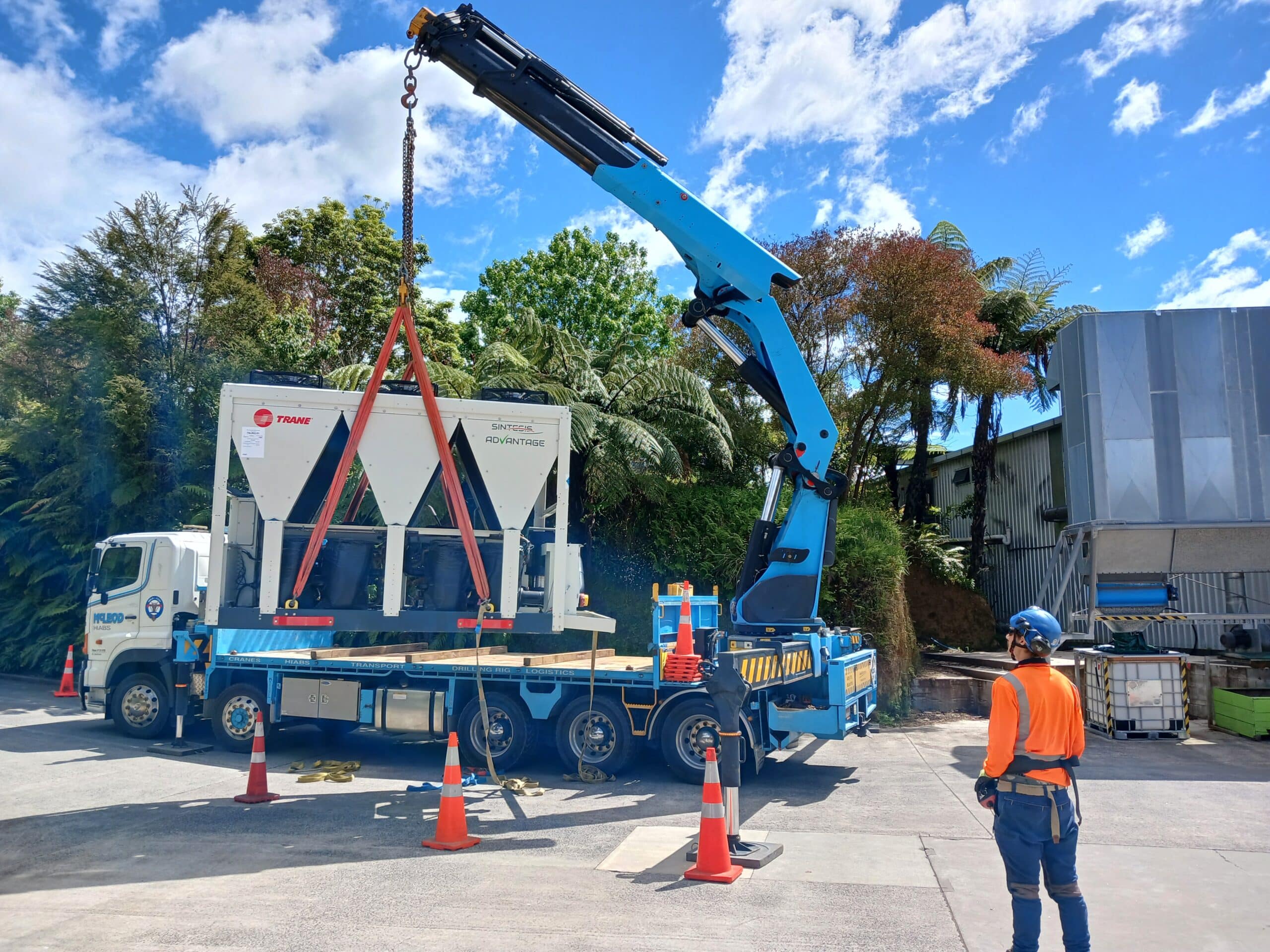 Technicool continues enabling product quality improvement in the kiwifruit world